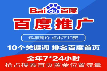 百度平台推广：成功案例解析与效果分析